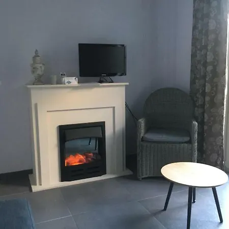 Belise Apartment De Haan